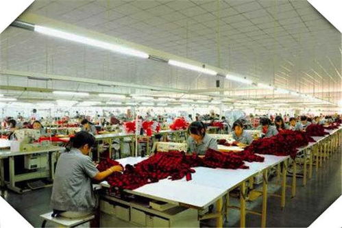 4个适合创业的小型加工厂项目推荐 干好一个年收入高达100万的食品方向